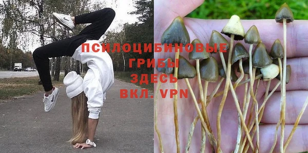 mdpv Алзамай