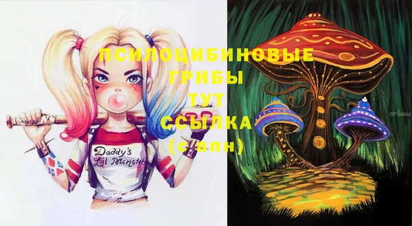 хмурый Алексеевка