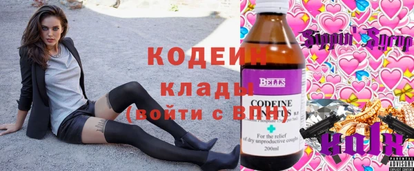 хмурый Алексеевка