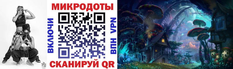 mega онион  Дно  Псилоцибиновые грибы Cubensis 